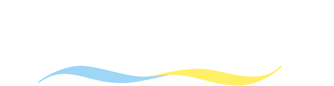 logo-birka-1080-neg